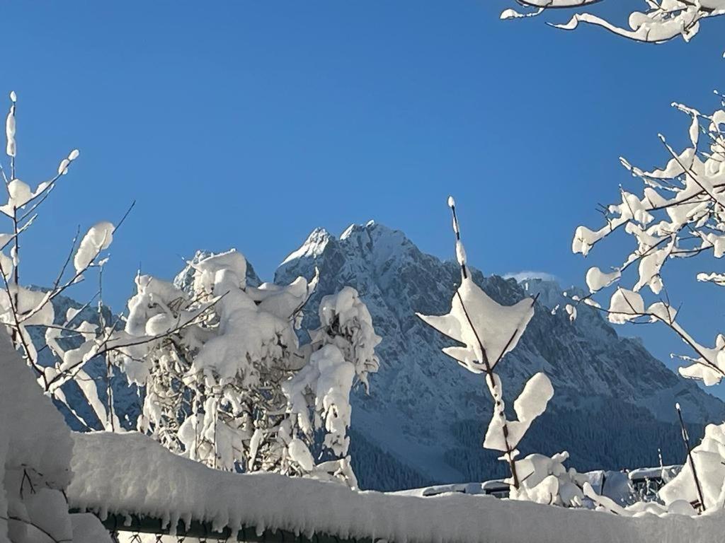 Alpine Garden Suite การ์มิช-พาร์เทนเคียร์เชน ภายนอก รูปภาพ